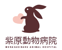 紫原動物病院